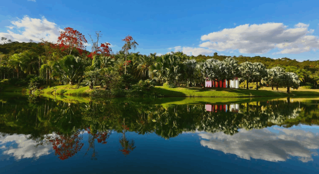 Vista do Inhotim em Brumadinho, um dos maiores museus a céu aberto do mundo